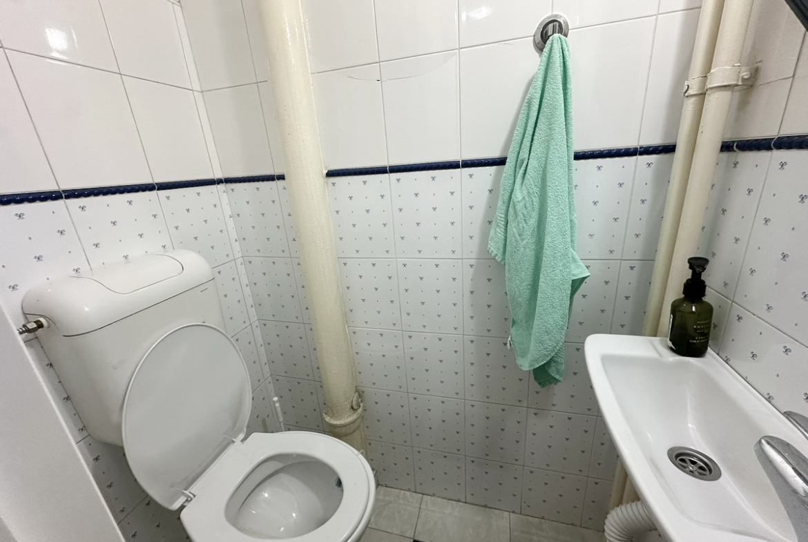 Prodaja-stanova-Savski-venac-Kneza-Milosa-toalet Kneza Miloša – renoviran porodični stan